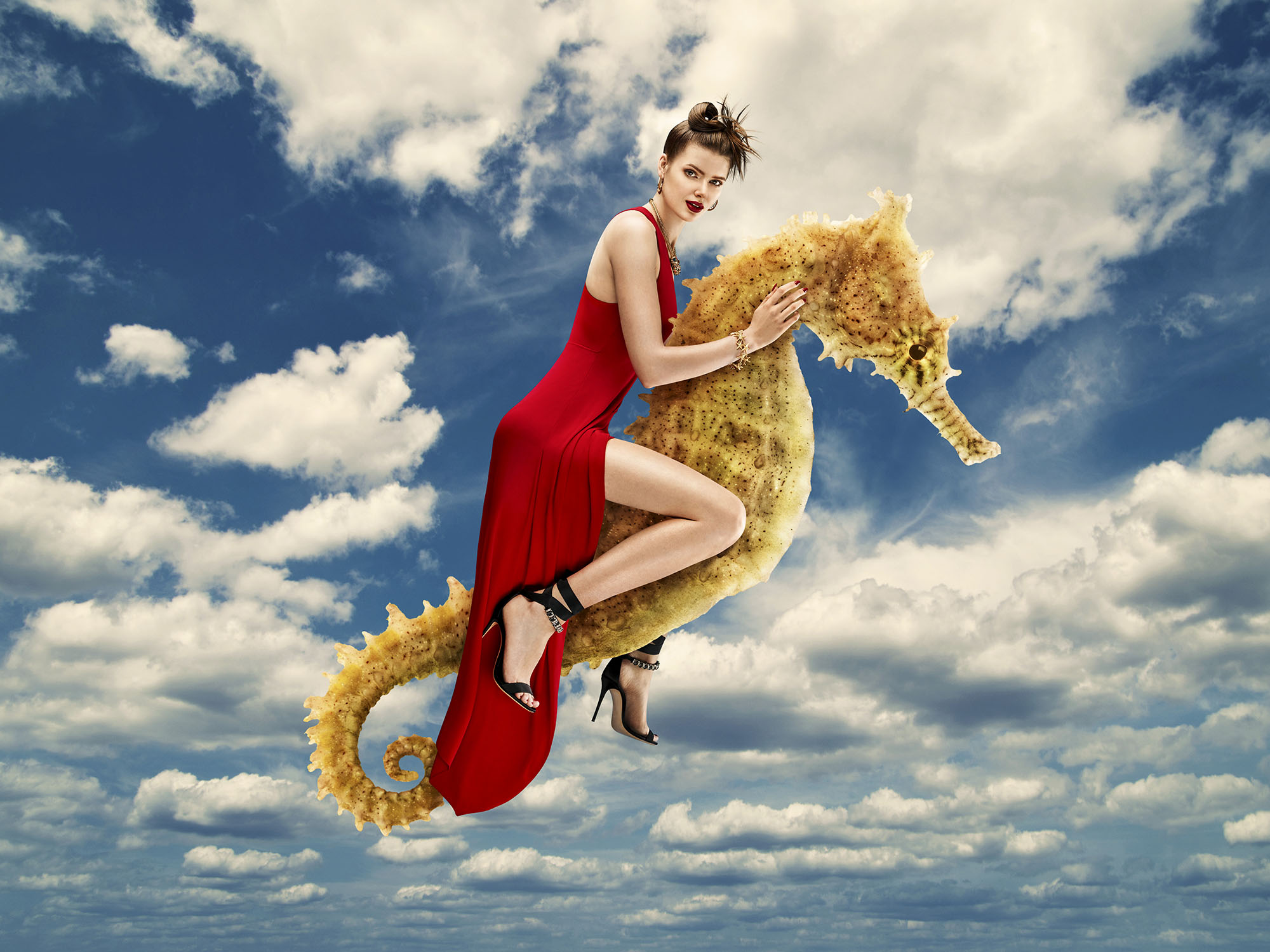 SeaHorse_4_3_web SeaHorse_4_3_web